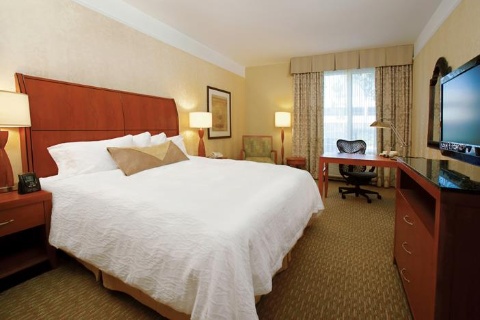 Hilton Garden Inn Toronto Airport , ON  near Toronto Pearson Airport View Point 12
